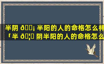 半阴 🐡 半阳的人的命格怎么样「半 🦁 阴半阳的人的命格怎么样呢」